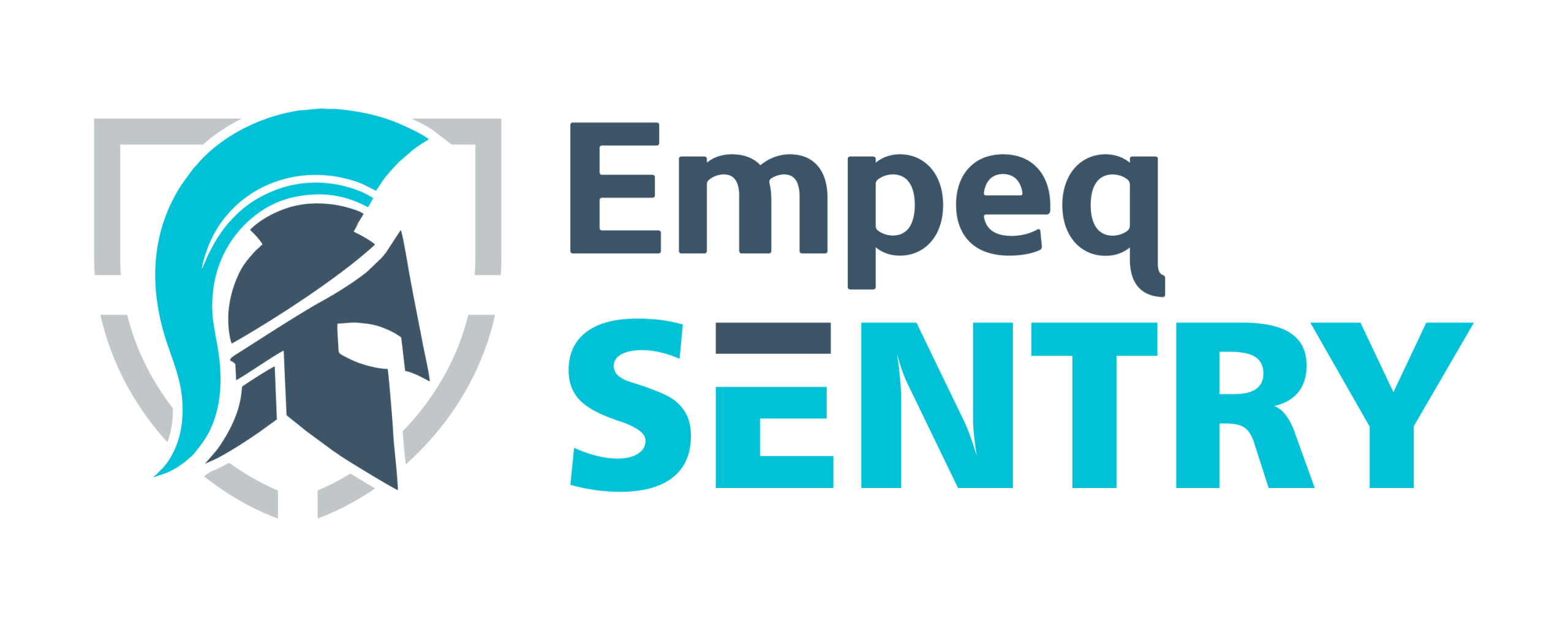 2026 Sentry Logo - on transparent